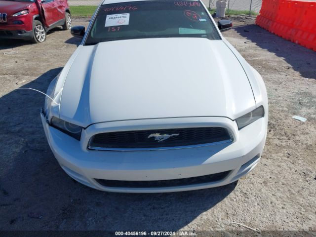 1ZVBP8AM7E5271617 Ford Mustang V6