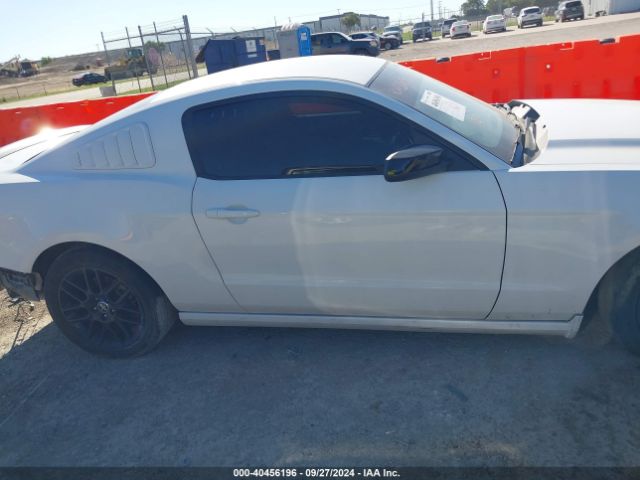 1ZVBP8AM7E5271617 Ford Mustang V6