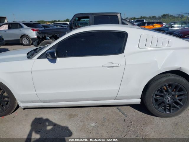 1ZVBP8AM7E5271617 Ford Mustang V6