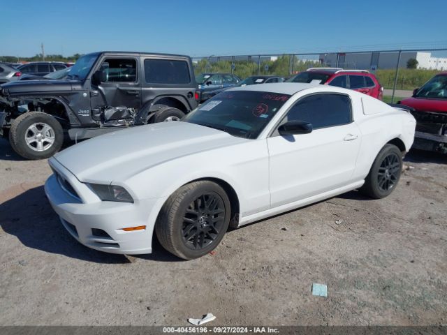 1ZVBP8AM7E5271617 Ford Mustang V6