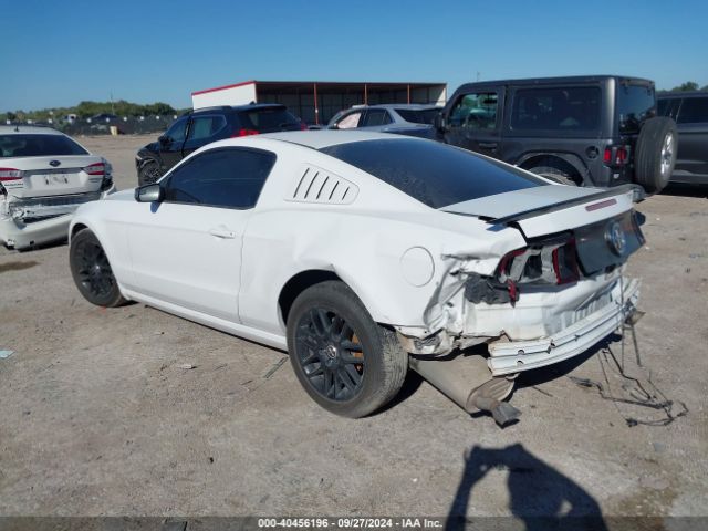 1ZVBP8AM7E5271617 Ford Mustang V6