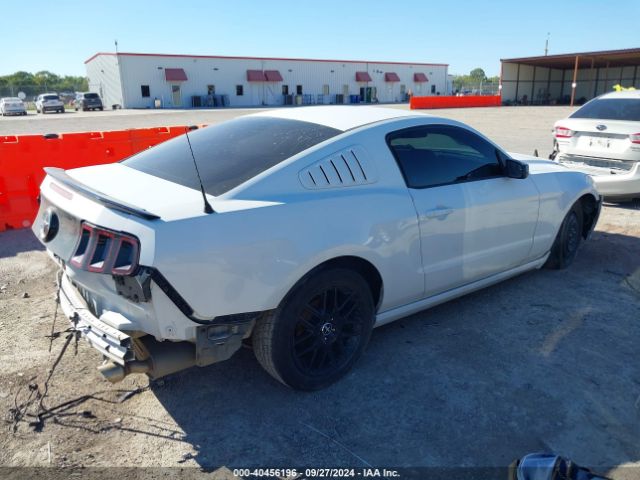 1ZVBP8AM7E5271617 Ford Mustang V6