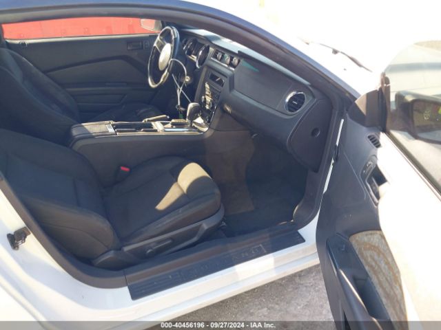 1ZVBP8AM7E5271617 Ford Mustang V6