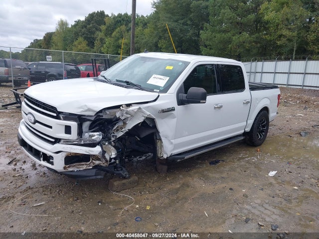Ford F-150 Xlt 2019 1FTEW1CPXKFD40159 Image 2