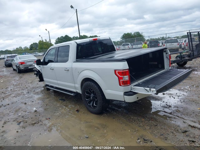 Ford F-150 Xlt 2019 1FTEW1CPXKFD40159 Image 3
