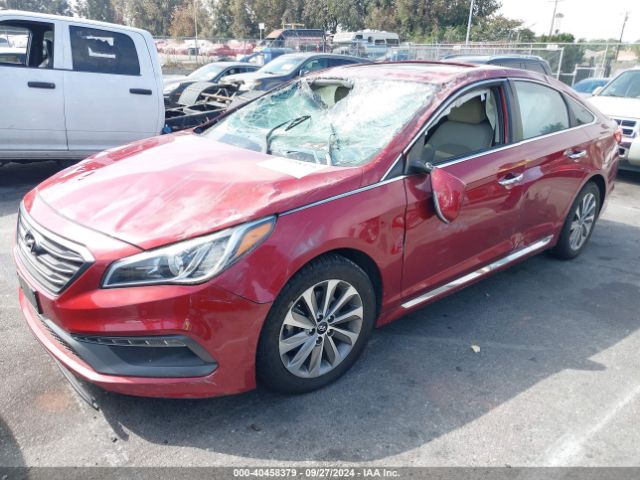 5NPE34AF5GH367254 Hyundai Sonata Sport