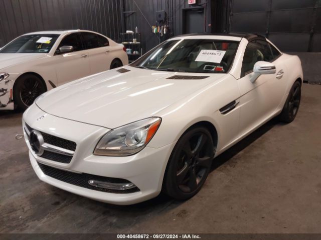 WDDPK4HA2EF085477 Mercedes-Benz SLK 250