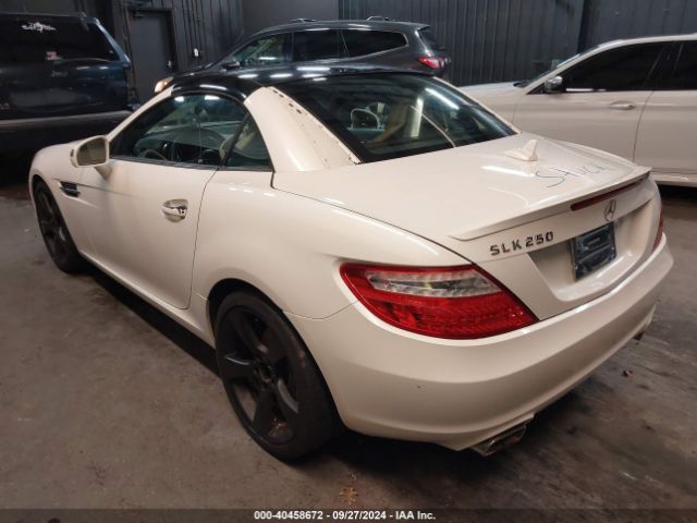 WDDPK4HA2EF085477 Mercedes-Benz SLK 250