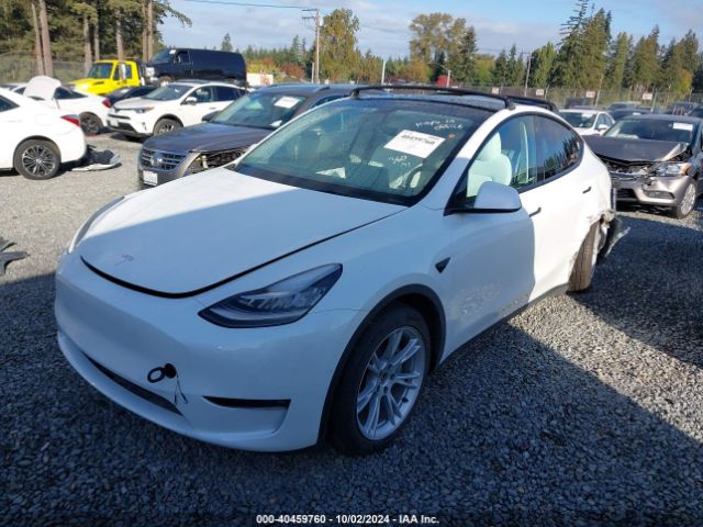 2022 TESLA MODEL Y 7SAYGAEE3NF427032 Photo 1