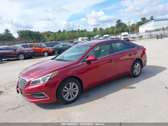 5NPE24AF2GH307306 Hyundai SONATA SE