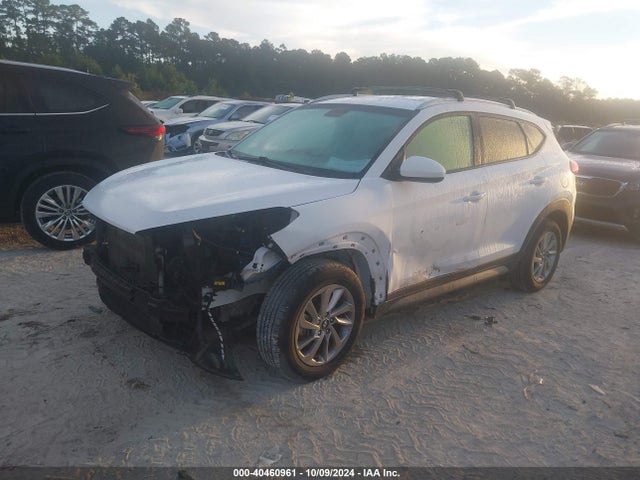 Hyundai TUCSON SE 2017 KM8J3CA48HU263660 Image 2