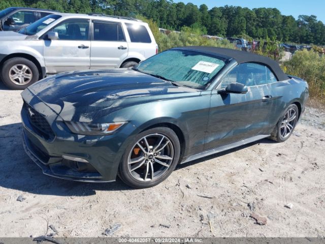 1FATP8UH7G5312391 Ford Mustang