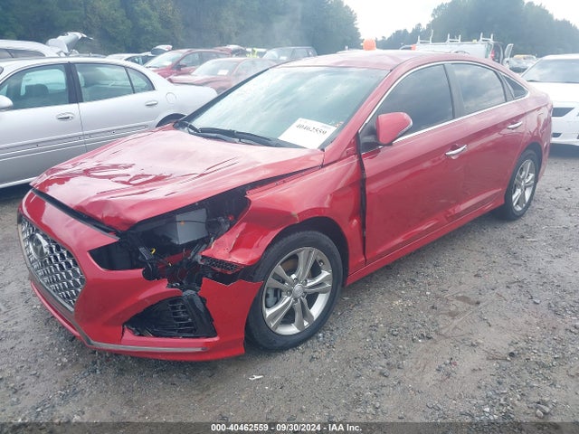 Hyundai SONATA SEL 2019 5NPE34AF8KH748458 Image 2