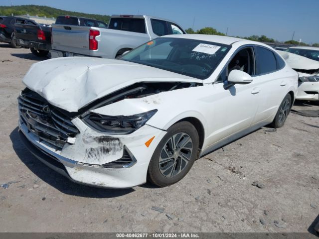 KMHL24JJ4PA062720 Hyundai Sonata Hybrid Blue