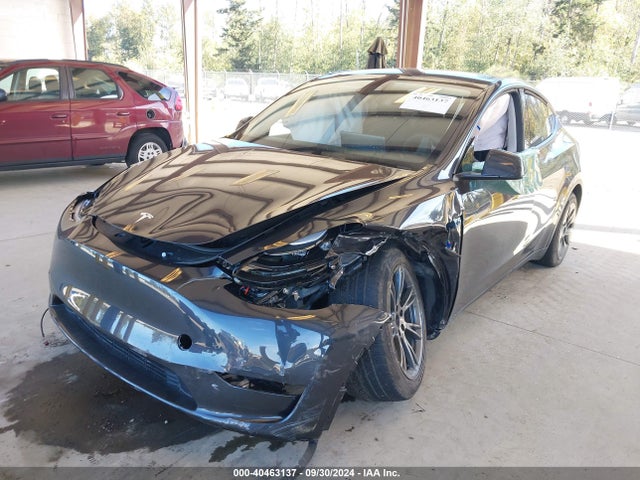 2024 TESLA MODEL Y 7SAYGDEE2RF179699 Photo 1