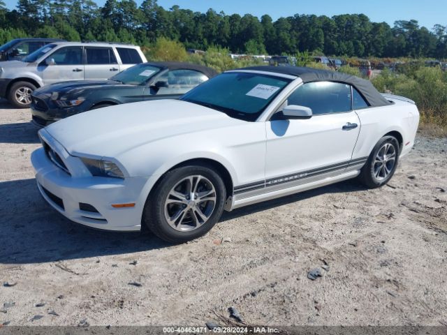 1ZVBP8EM0E5323177 Ford Mustang