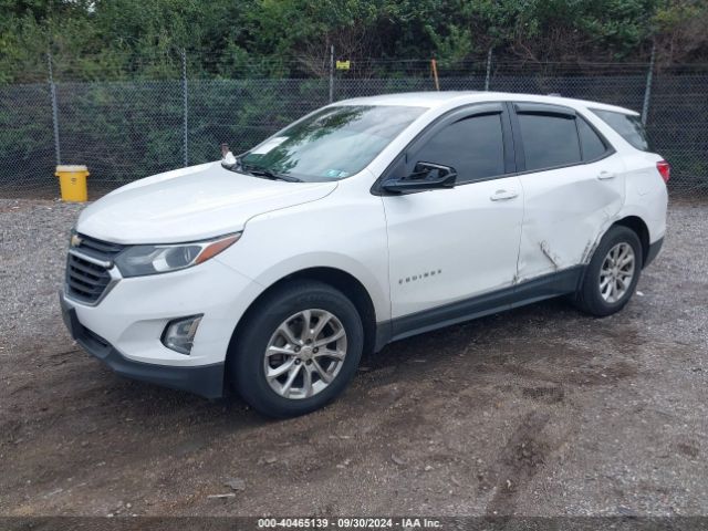 2GNAXREV0J6130143 Chevrolet EQUINOX LS