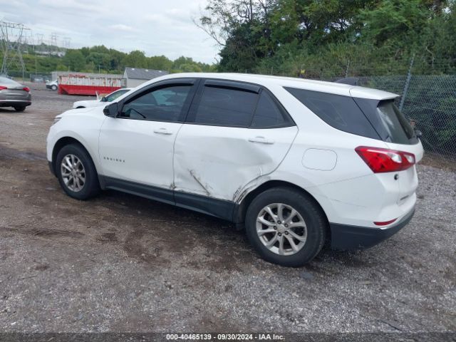 2GNAXREV0J6130143 Chevrolet EQUINOX LS
