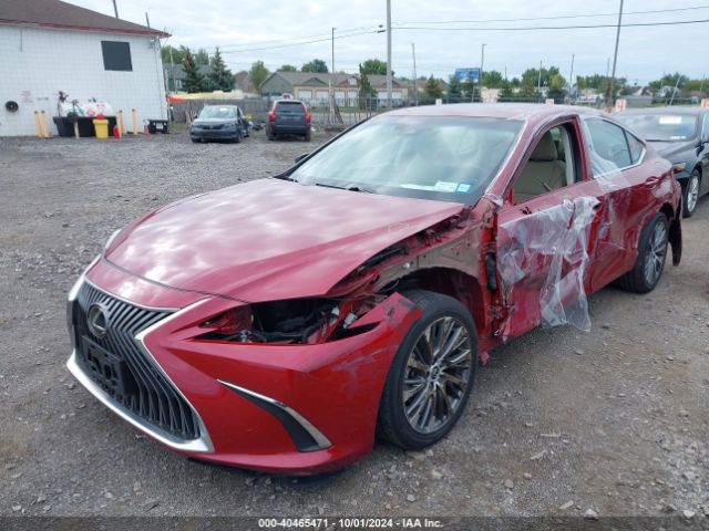 58AD11D19MU002243 Lexus ES 250