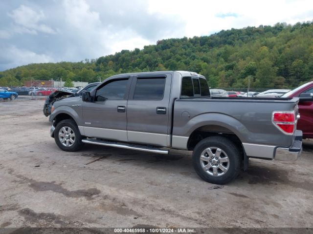 1FTFW1ET8EKF44582 Ford F-150 Xlt
