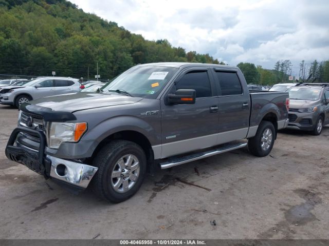 1FTFW1ET8EKF44582 Ford F-150 Xlt