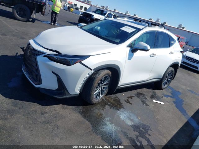 JTJGKCEZ7R5021023 Lexus Nx 350h Premium