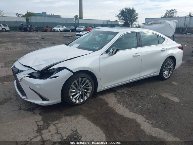 Lexus Es 300h Luxury 2020 58AE21B11LU006287 Image 2