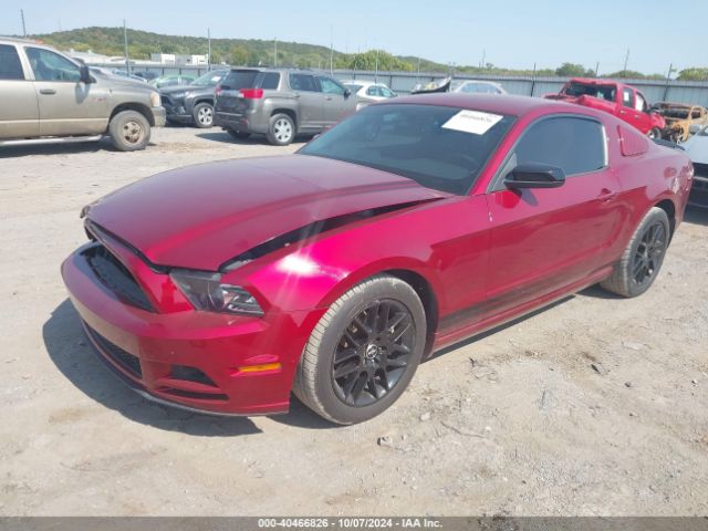 2014 FORD MUSTANG 1ZVBP8AM1E5326921 Photo 1