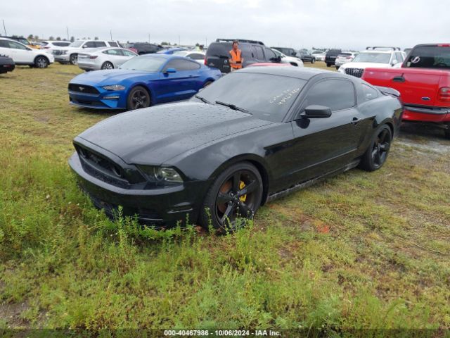 1ZVBP8AM5E5283653 Ford Mustang V6