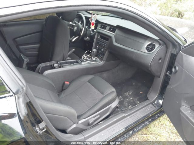 1ZVBP8AM5E5283653 Ford Mustang V6