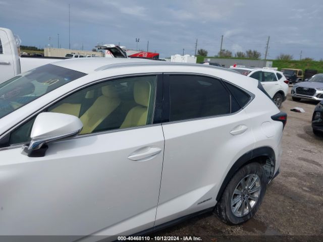 JTJBJRBZ1K2102272 Lexus NX 300H
