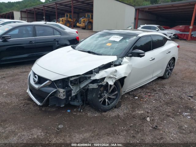 1N4AA6AP3GC384614 Nissan Maxima 3.5 Platinum