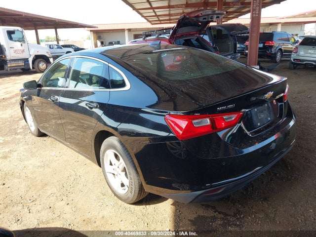 Chevrolet Malibu 1fl 2019 1G1ZC5ST5KF208158 Image 3