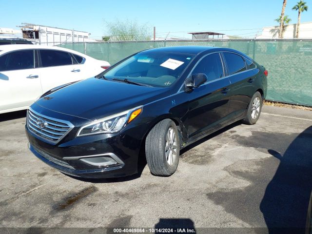 5NPE24AF6HH455315 Hyundai Sonata