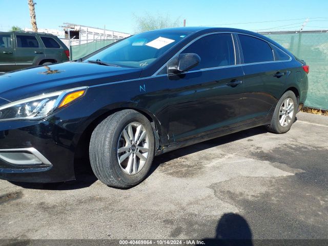 5NPE24AF6HH455315 Hyundai Sonata