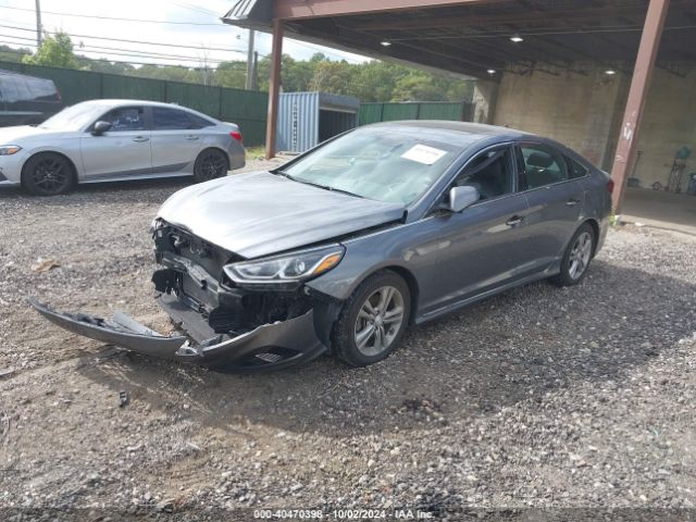 5NPE34AF5JH699640 Hyundai Sonata Sport+