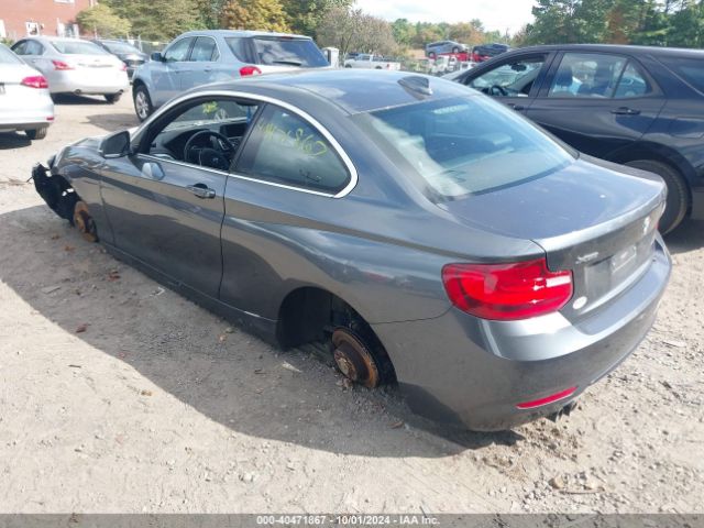 WBA1G9C5XGV599379 BMW 228i Xdrive