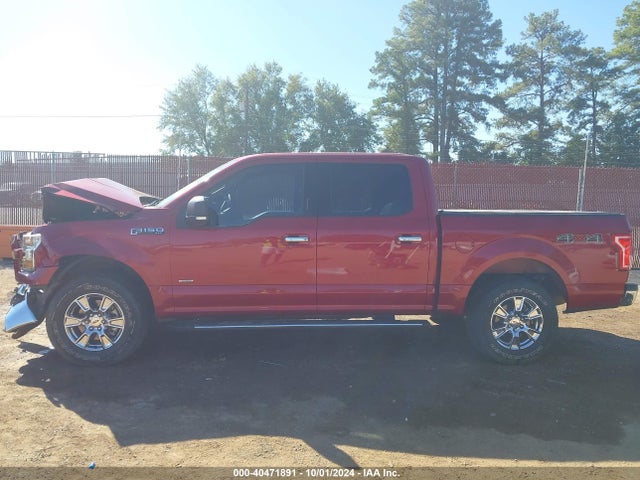 Ford F-150 Xlt 2016 1FTEW1EP5GKD43062 Image 15