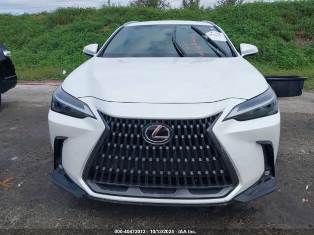 JTJADCAZ8P2006101 Lexus NX 250