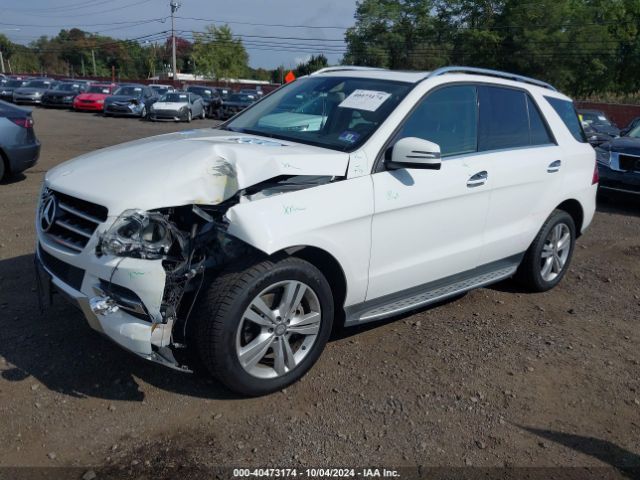 4JGDA5HB2FA513508 Mercedes-Benz Ml 350 4matic