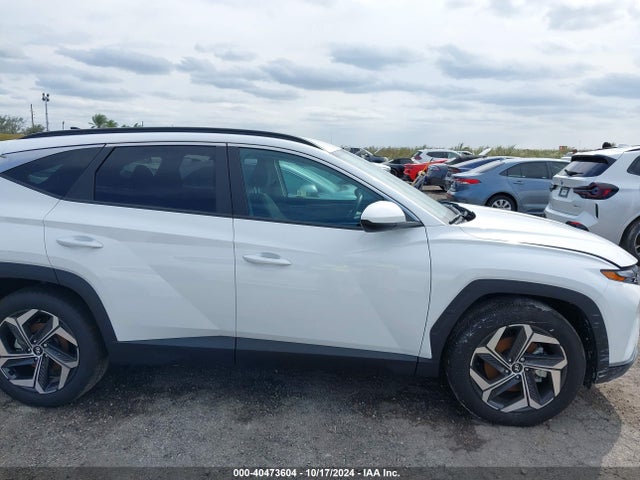 Hyundai TUCSON SEL 2024 5NMJB3DE7RH428554 Image 14
