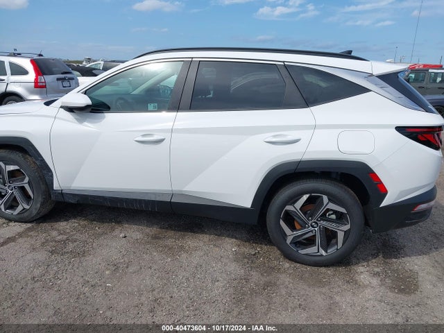 Hyundai TUCSON SEL 2024 5NMJB3DE7RH428554 Image 15