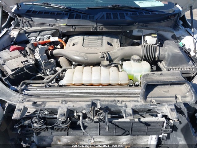 Ford F-150 Xlt 2023 1FTFW1ED1PFA06052 Image 10