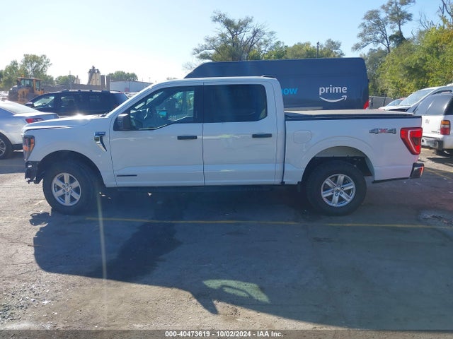 Ford F-150 Xlt 2023 1FTFW1ED1PFA06052 Image 15