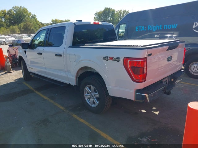 Ford F-150 Xlt 2023 1FTFW1ED1PFA06052 Image 3