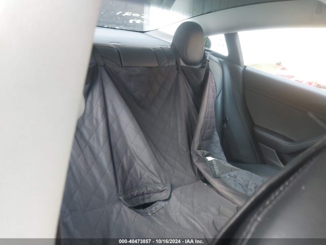 2019 TESLA MODEL 3 5YJ3E1EB3KF535021 Photo 7