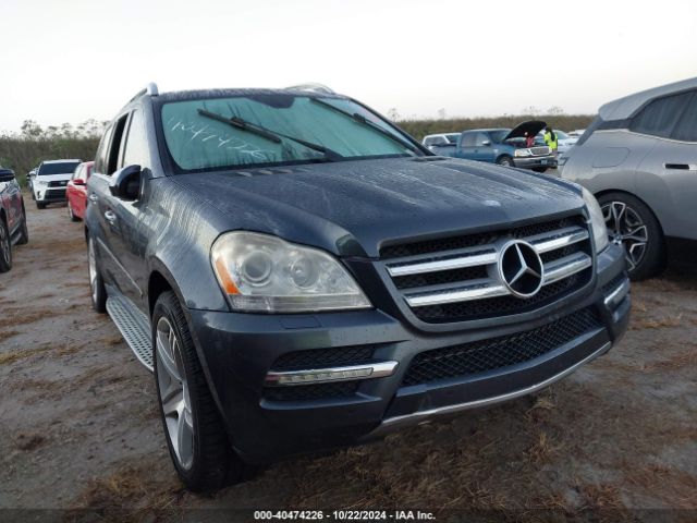 2010 MERCEDES-BENZ GL 450 4JGBF7BE8AA577746