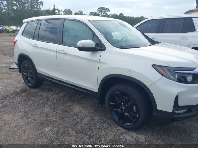 5FNYF8H59RB007902 Honda Passport Awd Ex-l