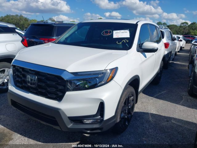 5FNYF8H59RB007902 Honda Passport Awd Ex-l