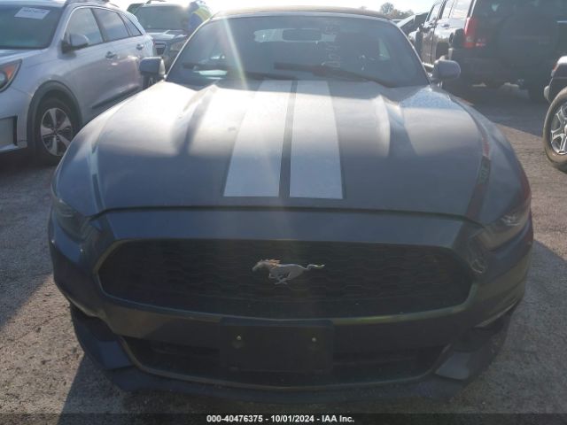 1FATP8UH8H5295439 Ford Mustang Ecoboost Premium